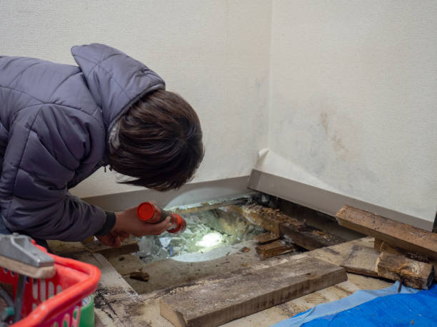 Best Post-Remediation Verification Testing  in Parkwood, WA