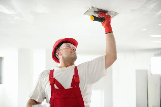 Reliable Parkwood, WA Mold Removal Solutions
