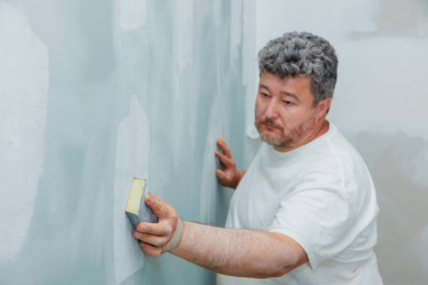 Best Post-Construction Mold Inspection  in Parkwood, WA